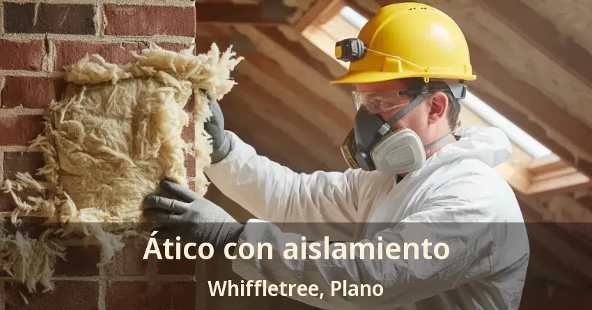 Ático con aislamiento Whiffletree, Plano - TX Ático con aislamiento Whiffletree, Plano - TX