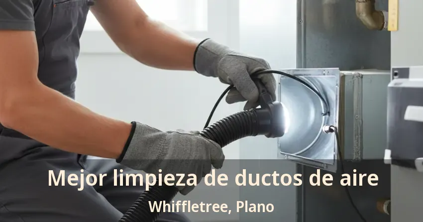 Mejor limpieza de ductos de aire Whiffletree, Plano - TX