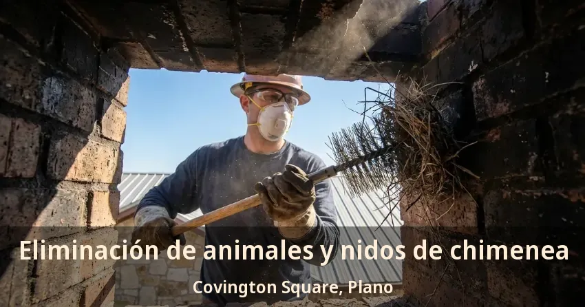 Eliminación de animales y nidos de chimenea Covington Square, Plano - TX