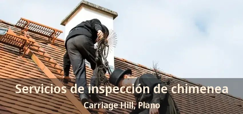 Servicios de inspección de chimenea Carriage Hill, Plano - TX