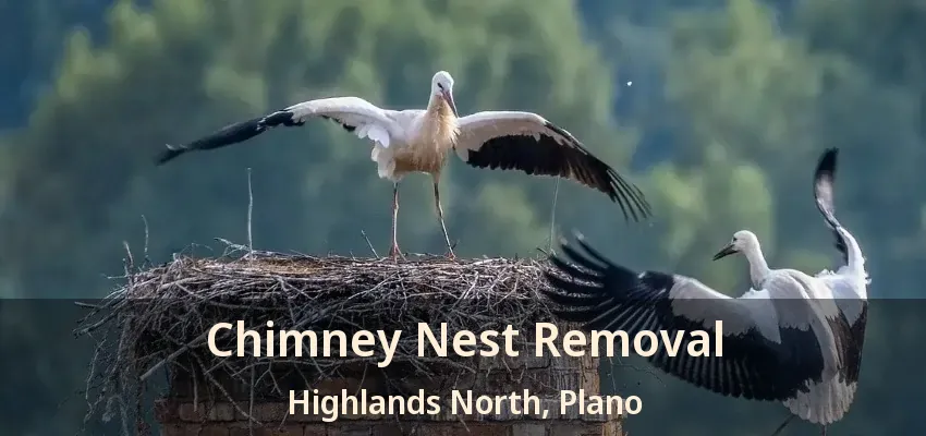 Chimney Nest Removal Highlands North, Plano - TX Chimney Nest Removal Highlands North, Plano - TX