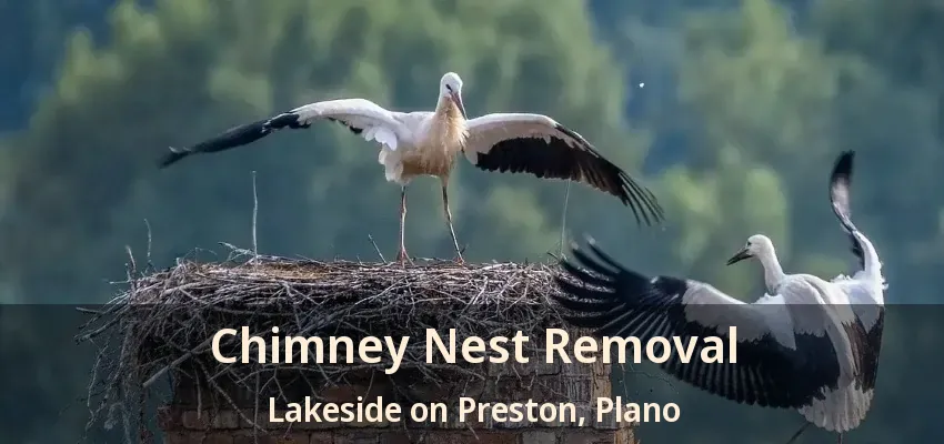 Chimney Nest Removal Lakeside on Preston, Plano - TX Chimney Nest Removal Lakeside on Preston, Plano - TX