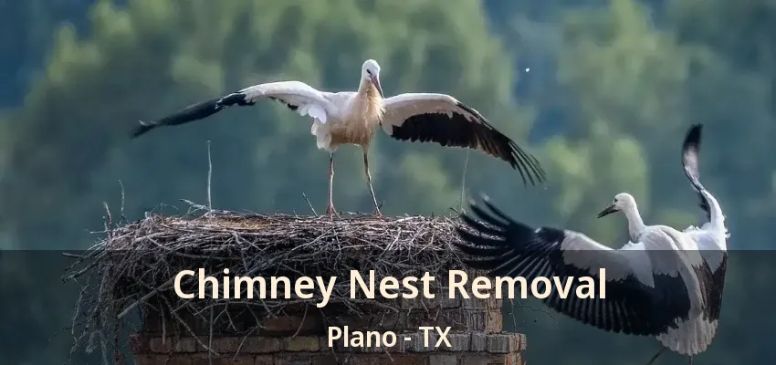 Chimney Nest Removal Plano - TX Chimney Nest Removal Plano - TX