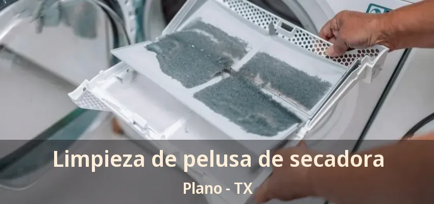 Limpieza de pelusa de secadora Plano - TX Limpieza de pelusa de secadora Plano - TX