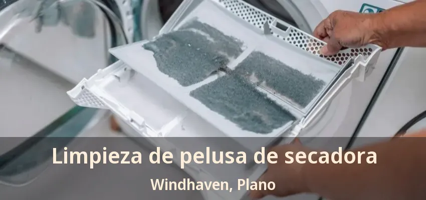 Limpieza de pelusa de secadora Windhaven, Plano - TX Limpieza de pelusa de secadora Windhaven, Plano - TX
