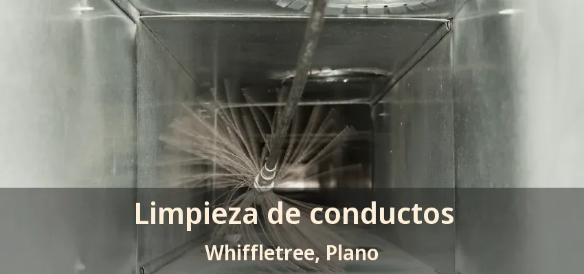 Limpieza de conductos Whiffletree, Plano - TX