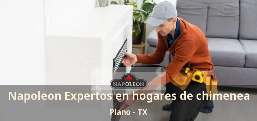 Napoleon Expertos en hogares de chimenea Plano - TX Napoleon Expertos en hogares de chimenea Plano - TX