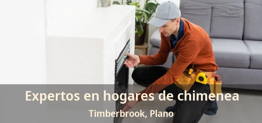 Expertos en hogares de chimenea Timberbrook, Plano - TX