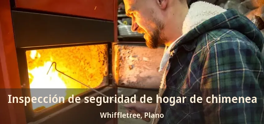 Inspección de seguridad de hogar de chimenea Whiffletree, Plano - TX