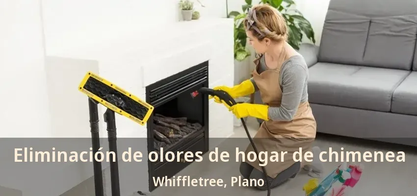 Eliminación de olores de hogar de chimenea Whiffletree, Plano - TX Eliminación de olores de hogar de chimenea Whiffletree, Plano - TX