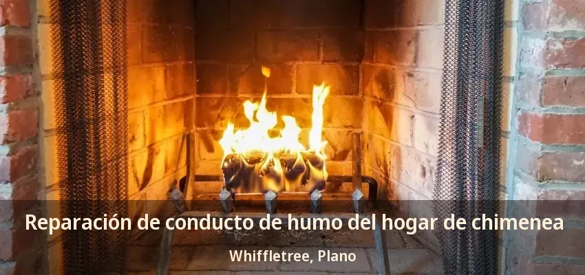 Reparación de conducto de humo del hogar de chimenea Whiffletree, Plano - TX