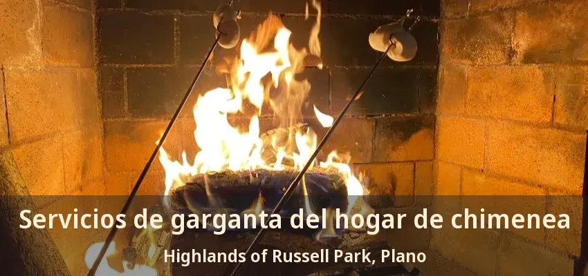 Servicios de garganta del hogar de chimenea Highlands of Russell Park, Plano - TX