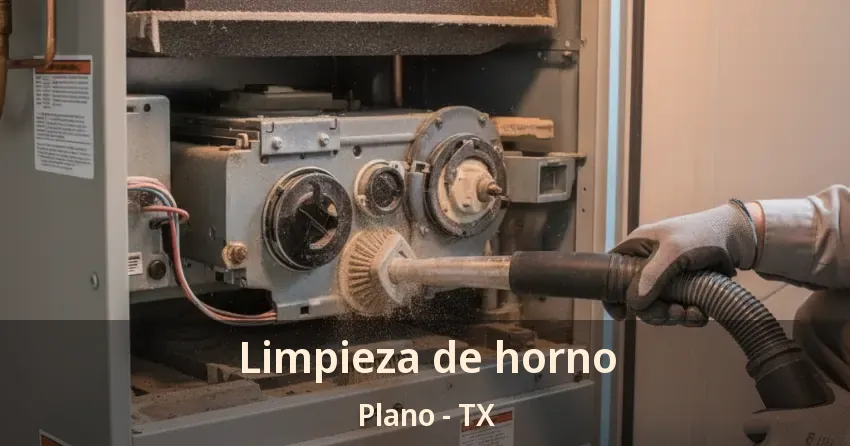 Limpieza de horno Plano - TX