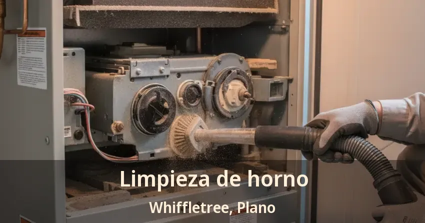 Limpieza de horno Whiffletree, Plano - TX Limpieza de horno Whiffletree, Plano - TX
