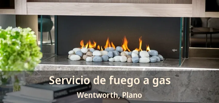 Servicio de fuego a gas Wentworth, Plano - TX
