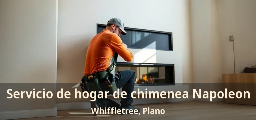Servicio de hogar de chimenea Napoleon Whiffletree, Plano - TX Servicio de hogar de chimenea Napoleon Whiffletree, Plano - TX