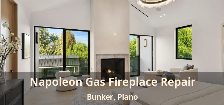 Napoleon Gas Fireplace Repair Bunker, Plano - TX