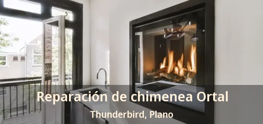 Reparación de chimenea Ortal Thunderbird, Plano - TX
