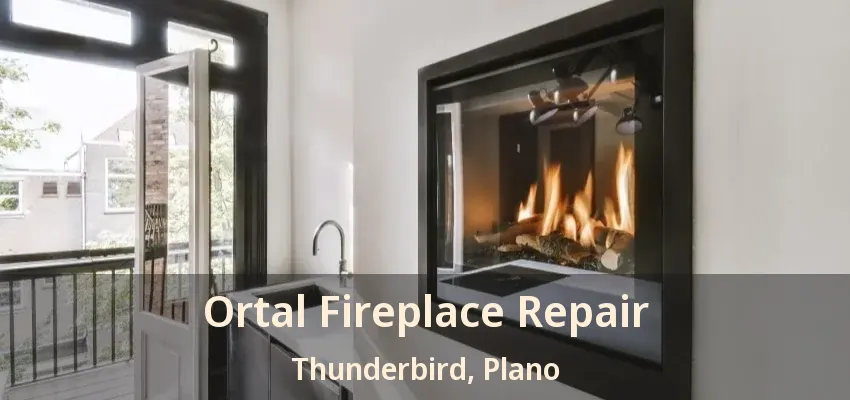 Ortal Fireplace Repair Thunderbird, Plano - TX Ortal Fireplace Repair Thunderbird, Plano - TX
