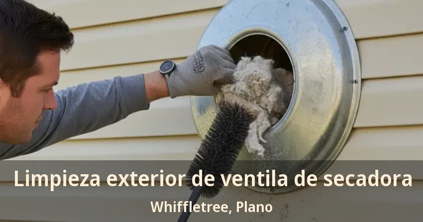 Limpieza exterior de ventila de secadora Whiffletree, Plano - TX