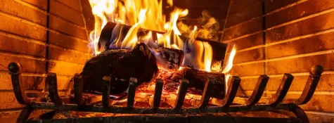 Book for Servicios de compuerta de hogar de chimenea